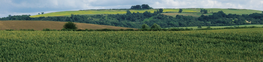 Fields of Barcheston